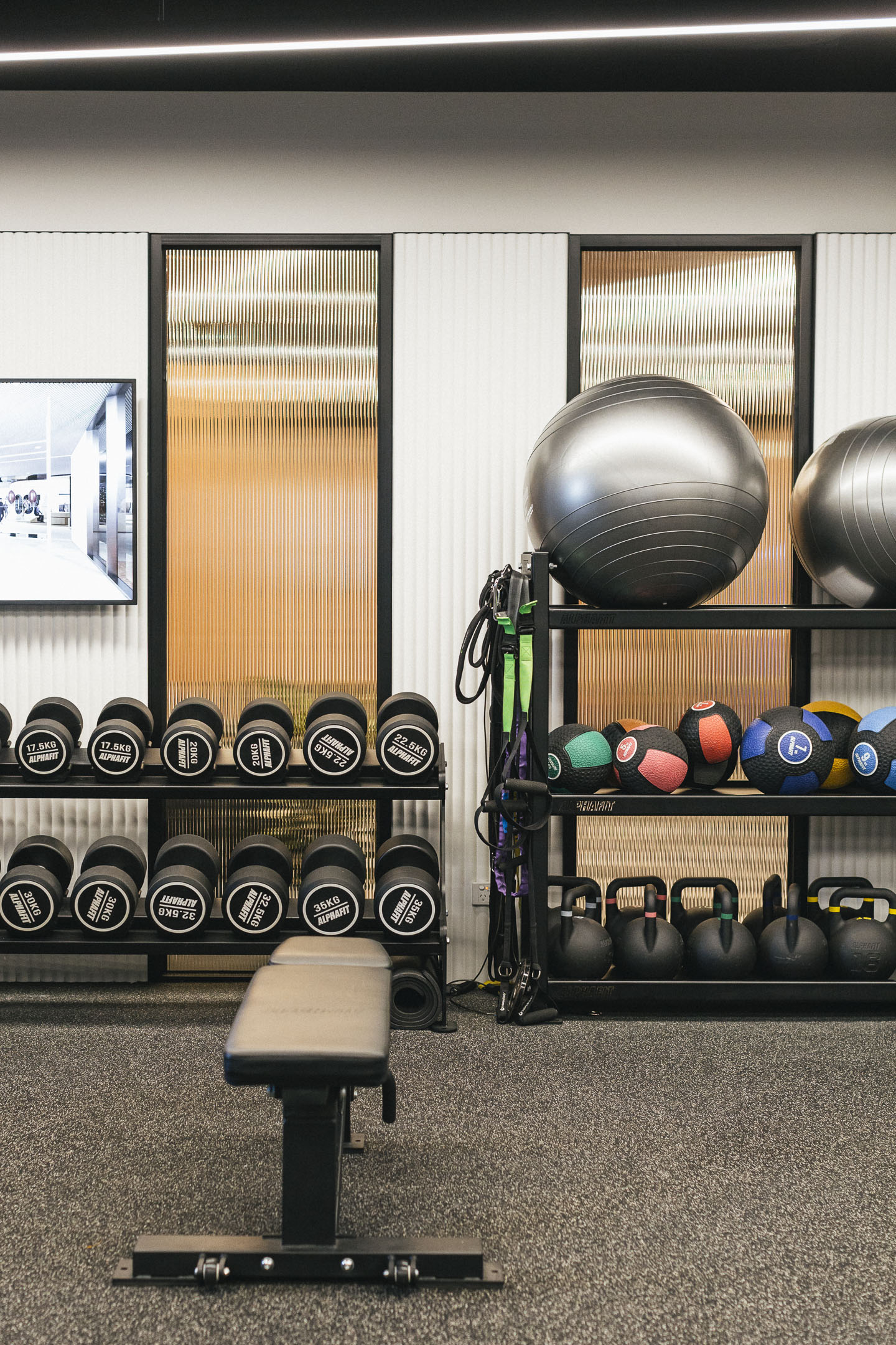 Portrain performe image gym